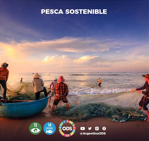 Pesca Sostenible ¿es Posible Organización Para El Desarrollo