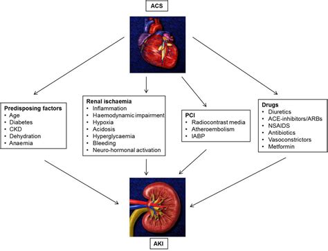 Acute Kidney Injury In Patients With Acute Coronary Syndromes Heart