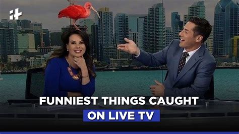 Best Tv Bloopers Fails Caught On Live Tv Youtube