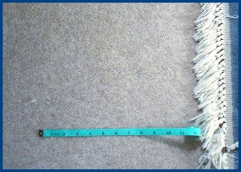 It can take six or more hours for the carpet to fully dry, depending on the carpet thickness and room size. How to Remove the Odor of Dog Urine From Carpets | Dengarden