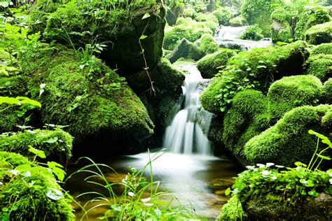 Free Images Landscape Nature Waterfall Creek