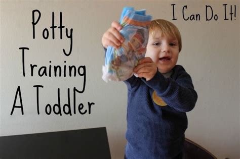 How To Potty Train A Toddler You Can Do It Potty Training Toddler