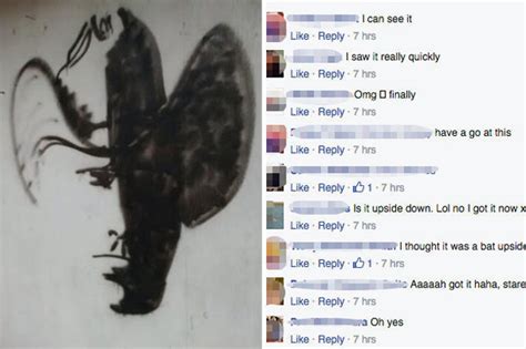 Facebook Users Go Can T Work Out Mental Optical Illusion Daily Star