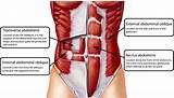 Engaging Core Muscles Pictures