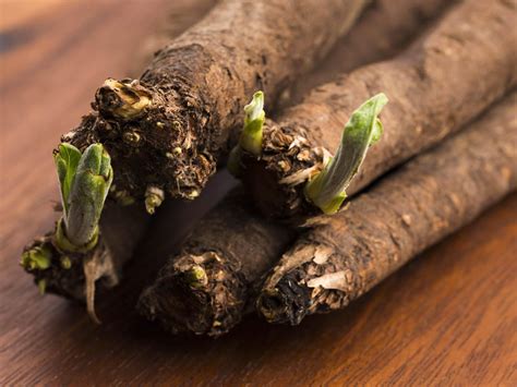 Salsify The Little Known Victorian Root Vegetable Thats Making A