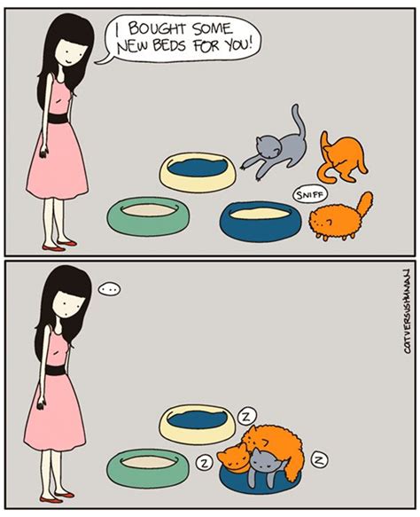 14 Hilarious Comics That Perfectly Capture Life With Cats Cute Cats