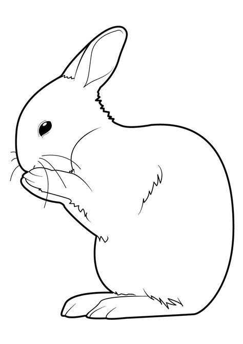 Lapin 7 Coloriages Animaux Lapins