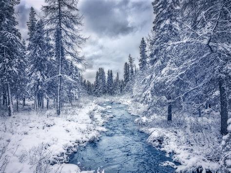 Bing Winter Scenes Wallpaper