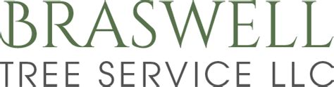 Braswell Tree Service LLC | Saint Francisville, LA | 225-784-0936
