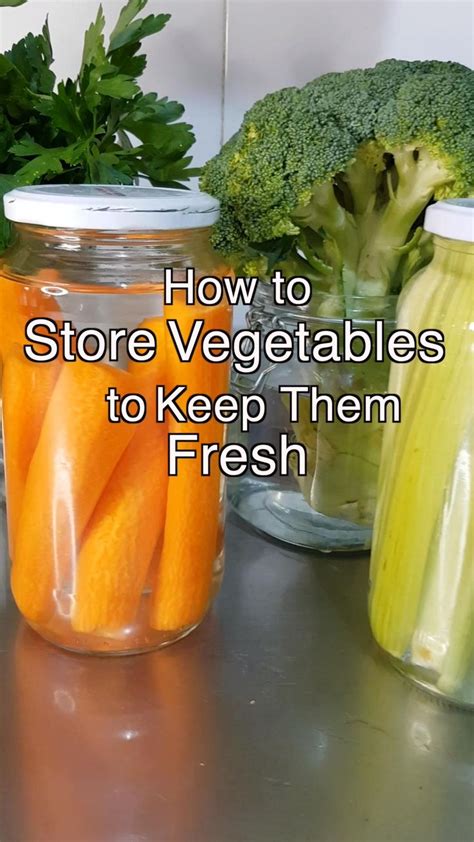 How To Store Vegetables For Your Sustainable Kitchen Amazing Food