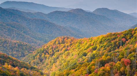 Best Things To Do In Great Smoky Mountains National Park