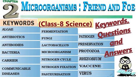 Keywords And Exercises Class 8 Science Ch 2 Microorganisms Friend And