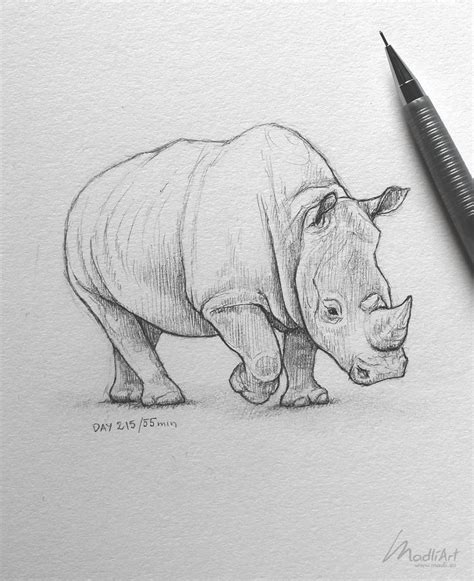 Endangered Species Artwork Mammals Pencil Drawings Of Animals