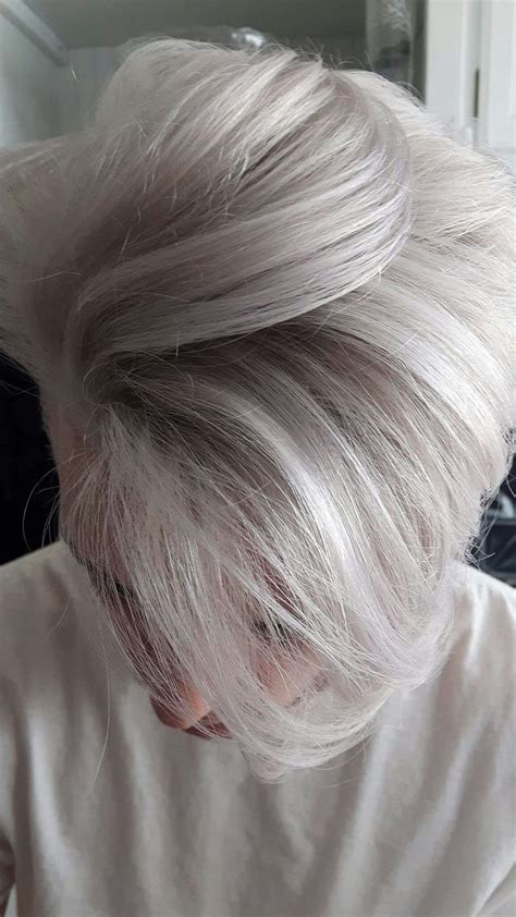 Best 25 Silver Hair Men Ideas On Pinterest Mens