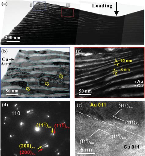 A Tem Cross Sectional Images Of The Indentation Induced Deformation