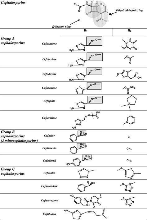 Chemical Structures Of Cephalosporins With The Methoxyimino Group Of