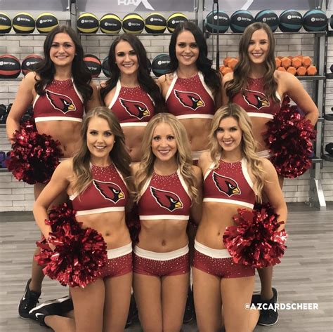 2019 arizona cardinals cheerleaders auditions info