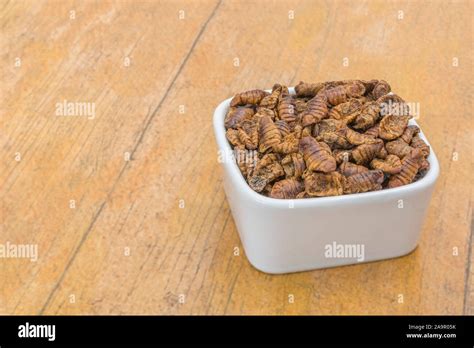 Dishes Of Edible Insects Silkworm Pupae Bombyx Mori On Faux Wood
