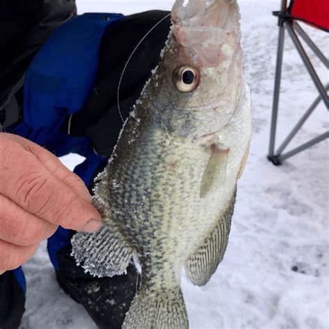 How To Catch Crappie Ice Fishing Complete Guide Series
