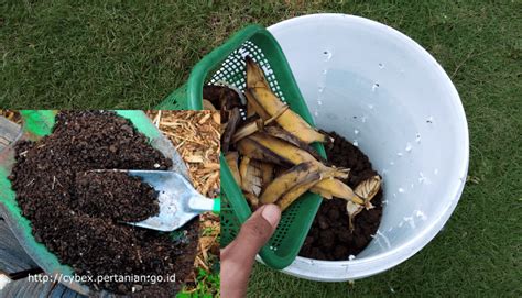 Membuat Komposter Untuk Mengolah Sampah Organik Blog Kang Amir
