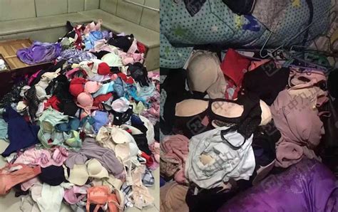 thief who likes to cuddle with 10 000 pairs of stolen women s underwear caught in china