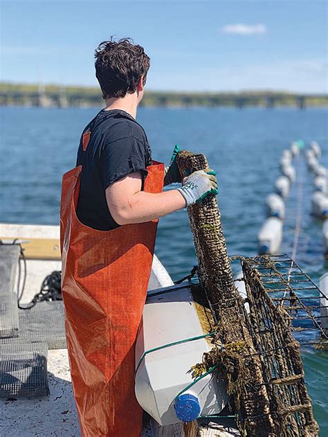 Texas Oyster Farming Permits Stuck In Regulation Mire Aquaculture