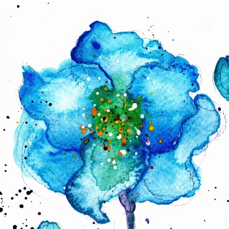 Lily Pang And Michelle Blue Poppies Original Watercolor Painting