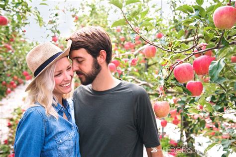 Apple Orchard Photo Shoot | Apple orchard photography, Apple orchard pictures, Engagement photos 