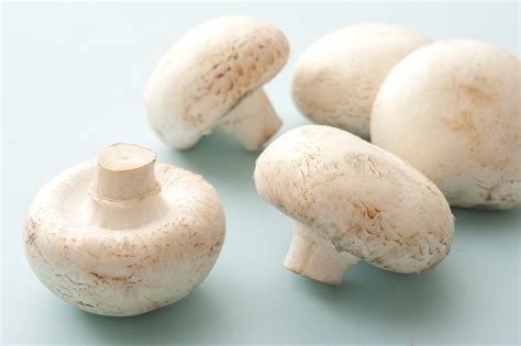 Fresh Raw White Button Mushrooms Free Stock Image