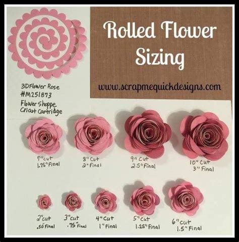 Flower Sizing Guide Cricut Flower Shadow Box Paper Flowers Rolled