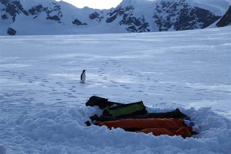 7 Antarctic Adventures Of A Lifetime Huffpost