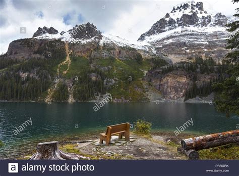 Lake Ohara Landscape View And Log Bench In Yoho National Park