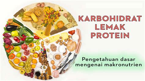 Karbohidrat Lemak Protein Pengetauhan Dasar Mengenai Makronutrien