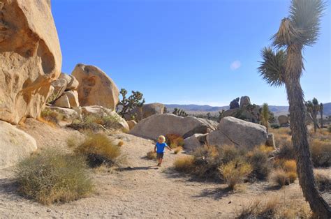 The Best Of Joshua Tree National Park Hiking With Kids No Back Home