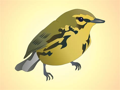 Bird Vector Vector Art And Graphics