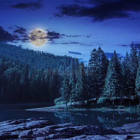 Pine Forest And Lake Near The Mountain At Night Stock Image Image Of