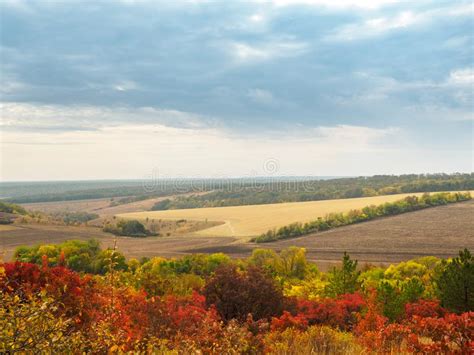 Colorful Autumn Landscape With Views Of The Skyline And Plowed Field