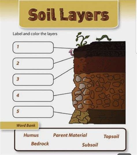 Soil Layers Worksheets