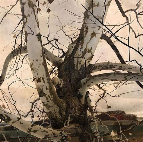 Andrew Wyeth Birch Tree