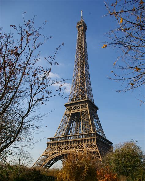 Eiffeltowercolorcropped Top Tourist