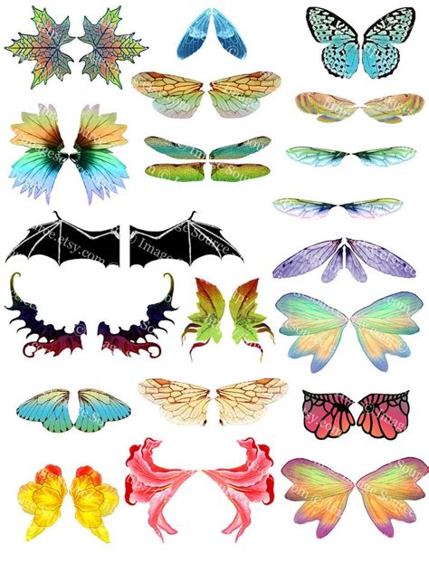 Printable Fairy Wings Insect Wings Illustrations Instant Digital
