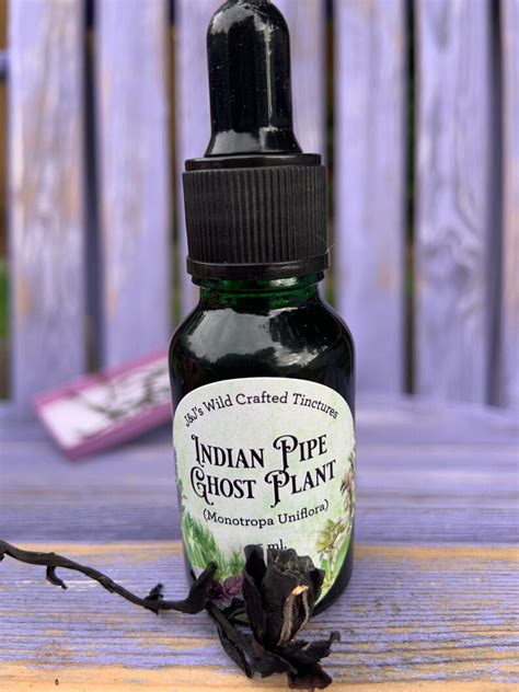 Ghost Pipe Gift Set W Tincture And Dried Flowers Etsy