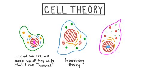 Lesson Cell Theory Nagwa