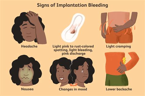 Can Implantation Bleeding Look Like A Light Period Sexiz Pix
