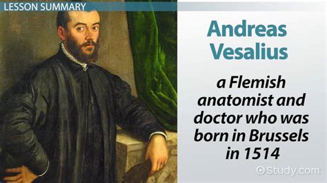 Andreas Vesalius Accomplishments Discoveries And Contributions