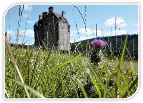 The Flower Of Scotland And The Highlands Thistle Tours