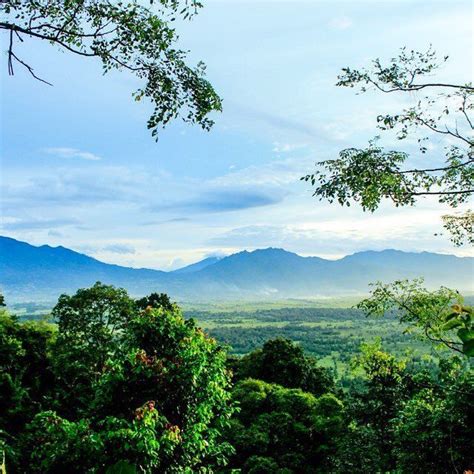 Objek rekreasi alam tersebut memiliki luas sekitar 2.500 meter persegi. Wisata Rawa Dano Serang : Jelajah Cagar Alam Rawa Dano Ini ...