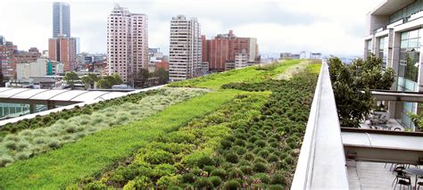 Urban Climate Roof Zinco Green Roof Systems Uk