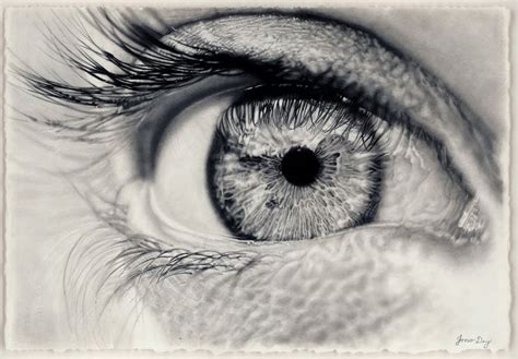 Expectation Eye Drawing Graphite Drawings Drawings