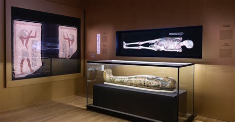 Egyptian Mummies At The Montreal Museum Of Fine Arts World History